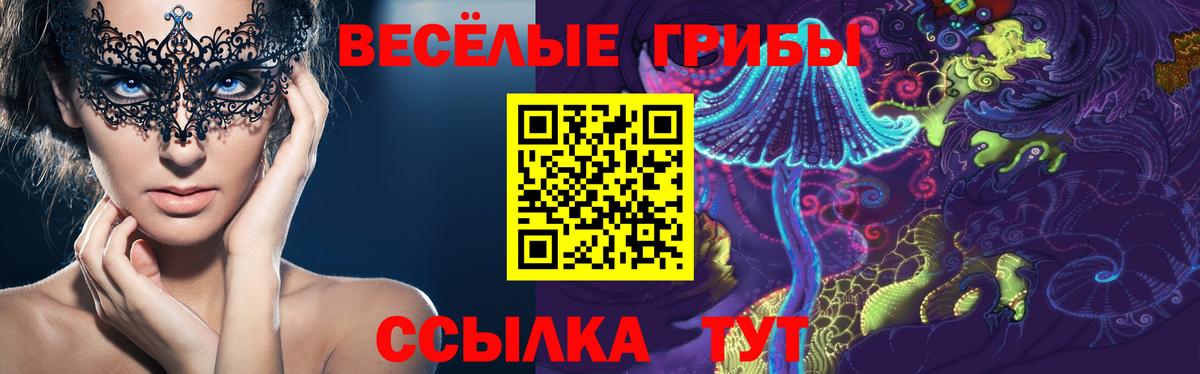 Псилоцибиновые грибы GOLDEN TEACHER  купить   Миллерово  Вход с VPN 