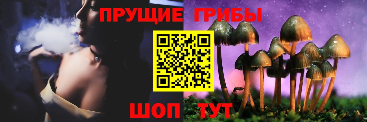 Псилоцибиновые грибы GOLDEN TEACHER Миллерово